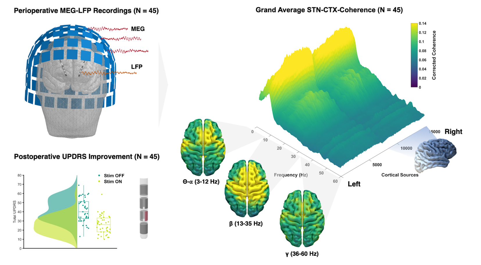 Fig. 1: Cortico-Subthalamic Coherence