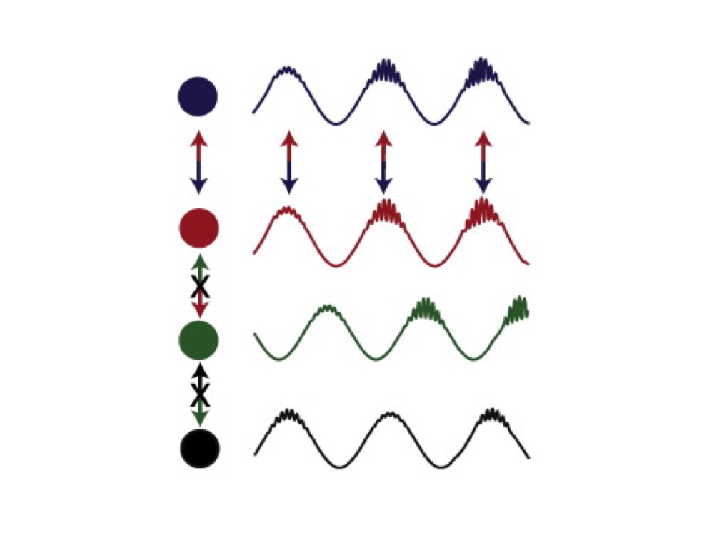 The brain's resting-state activity is shaped by synchronized cross-frequency coupling of neural oscillations