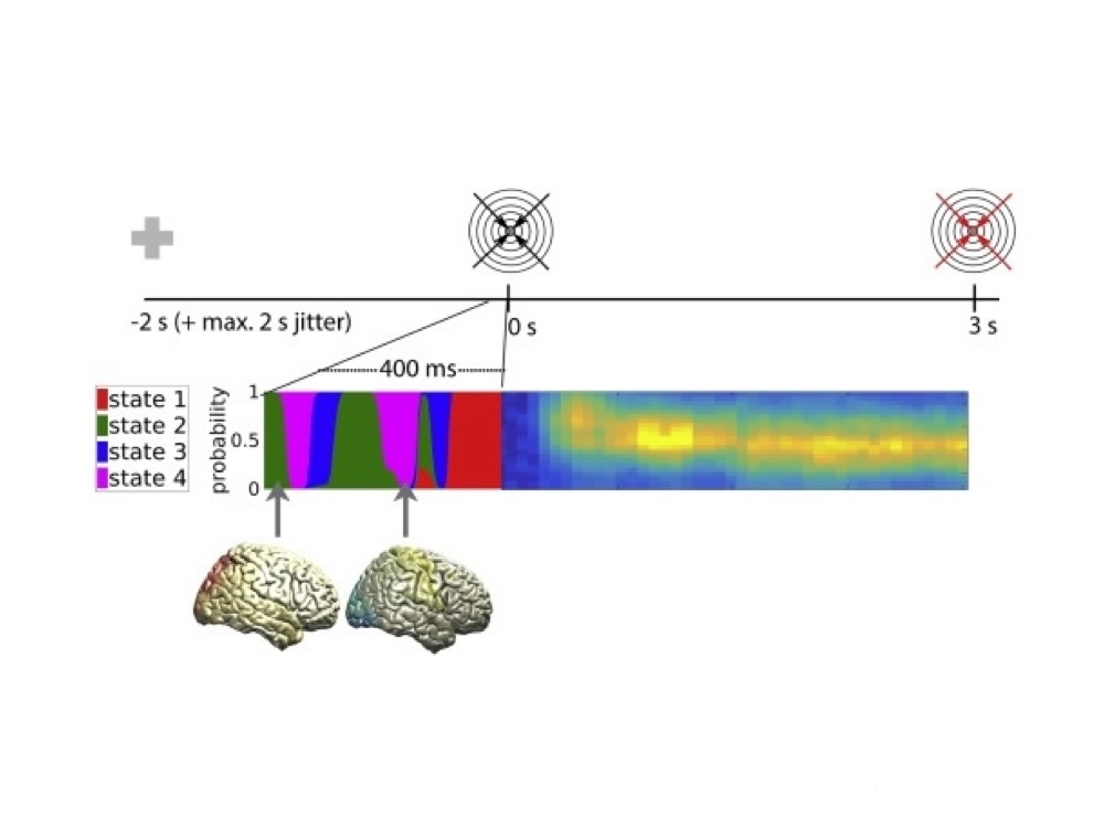 Relation of spontaneous network activity to task performance